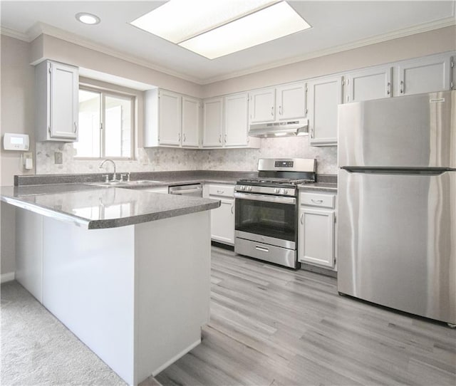 kitchen featuring appliances with stainless steel finishes, ornamental molding, a sink, a peninsula, and under cabinet range hood