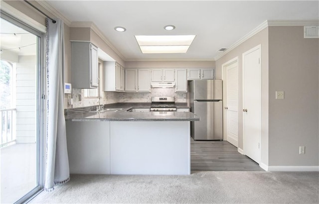 kitchen featuring stainless steel appliances, a wealth of natural light, a sink, and under cabinet range hood