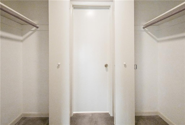 walk in closet with carpet floors