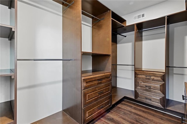 walk in closet featuring dark wood-type flooring and visible vents