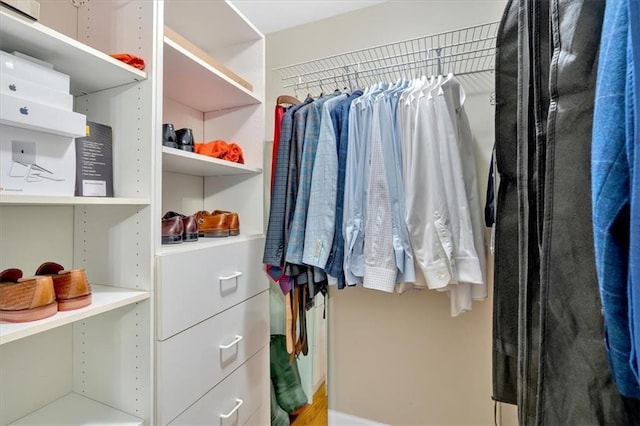 4 Mount Vernon Cir, Atlanta, GA 30338 - view of walk in closet