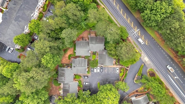4 Mount Vernon Cir, Atlanta, GA 30338 - aerial view of property and surrounding area