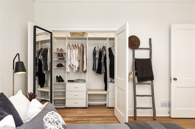 closet with visible vents