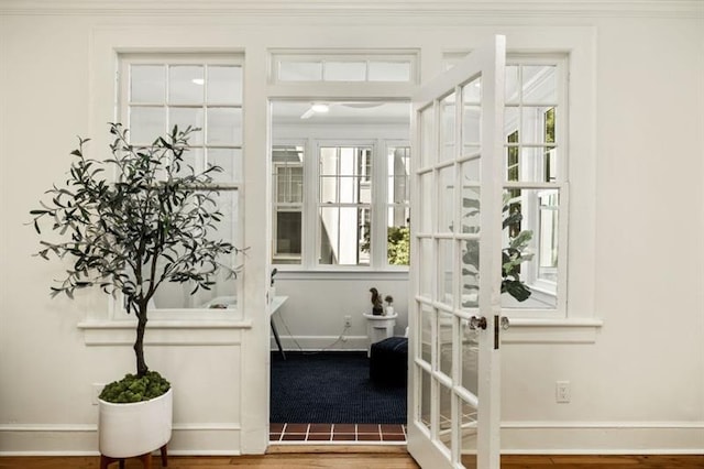 entryway featuring a wealth of natural light, french doors, baseboards, and wood finished floors