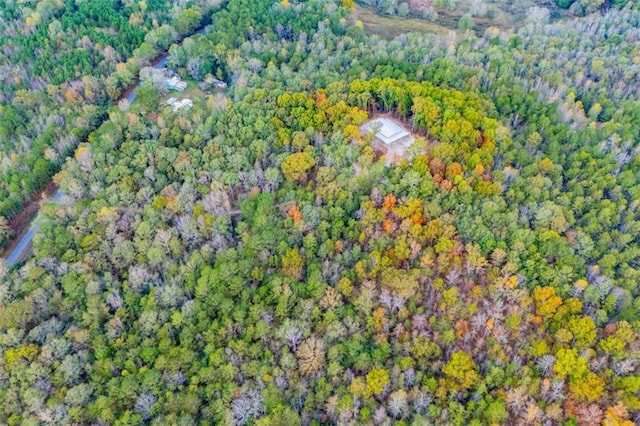 2125 Mccollum Church Rd, Lineville, AL 36266 - aerial overview of property's location