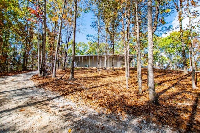 2125 Mccollum Church Rd, Lineville, AL 36266 - view of front of property