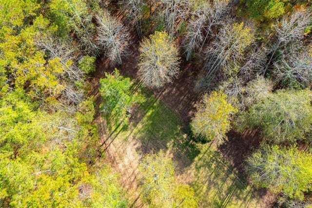 2125 Mccollum Church Rd, Lineville, AL 36266 - view of undeveloped land