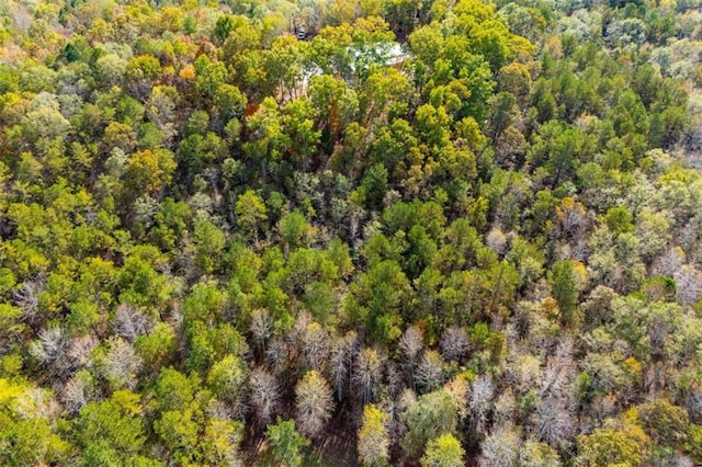 2125 Mccollum Church Rd, Lineville, AL 36266 - aerial view of a forest