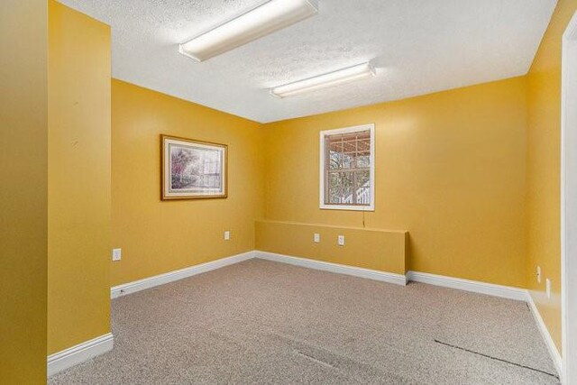 empty room featuring carpet floors and a textured ceiling