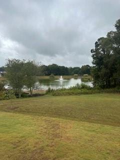 view of water feature