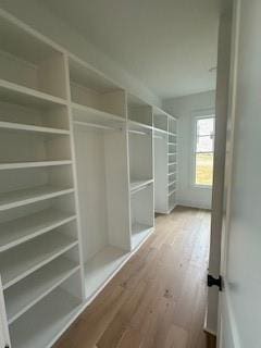 walk in closet featuring wood finished floors