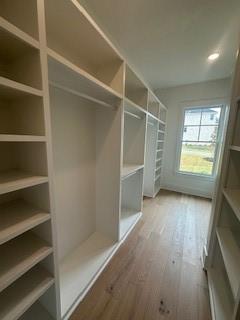 spacious closet featuring wood finished floors