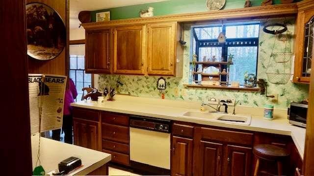 kitchen featuring dishwasher and sink