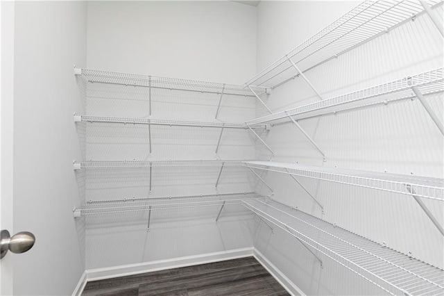 505 Regency Trl, Acworth, GA 30102 - view of pantry