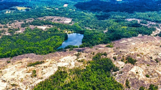 bird's eye view featuring a water view and a wooded view