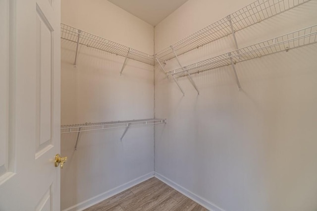 walk in closet with light wood-type flooring