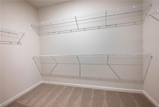 106 Harmony Farms Orch, Eatonton, GA 31024 - spacious closet with carpet
