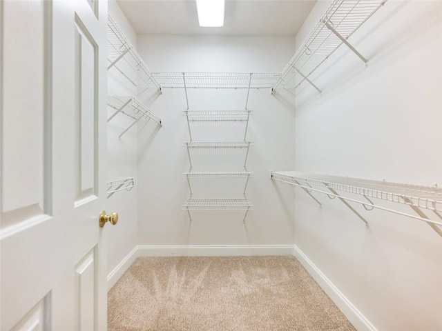 spacious closet with carpet floors