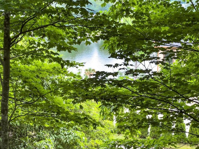 view of nature featuring a water view