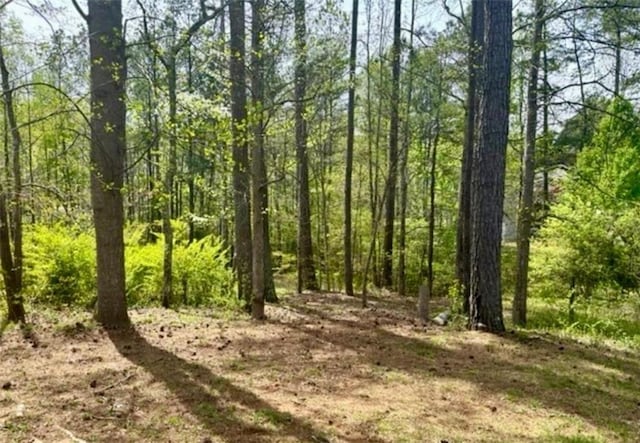 view of landscape featuring a forest view