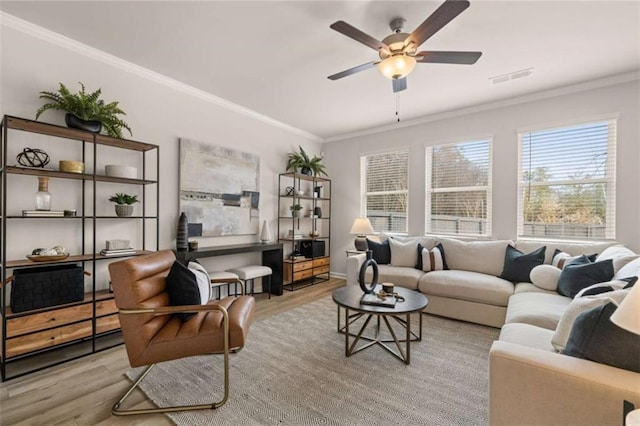 living room featuring ceiling fan, ornamental molding, and light hardwood / wood-style floors