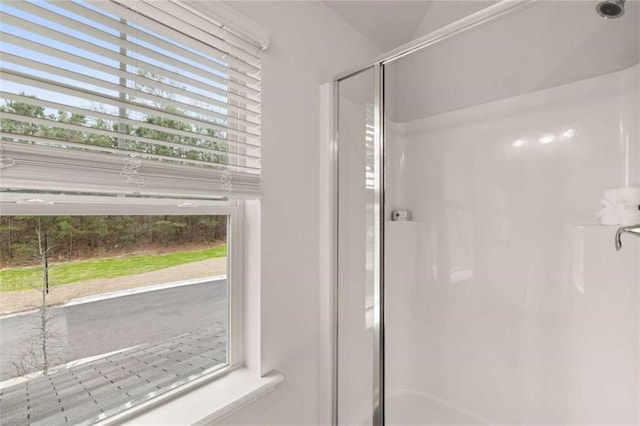 interior details featuring a shower with shower door