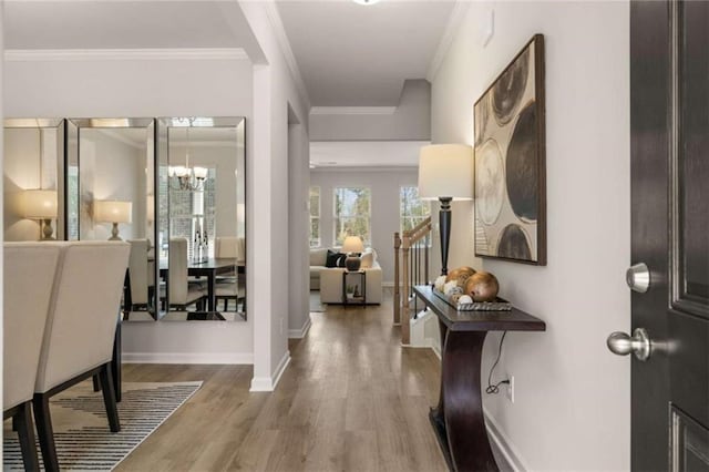 entryway with ornamental molding, a chandelier, and light wood-type flooring