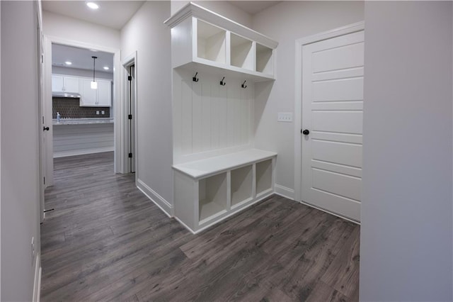 mudroom with dark hardwood / wood-style flooring