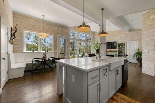 124 Nichols Branch Ln, Clayton, GA 30525 - kitchen with a sink, wooden walls, dark wood-style flooring, dishwasher, and healthy amount of natural light