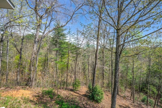 124 Nichols Branch Ln, Clayton, GA 30525 - view of tree filled area
