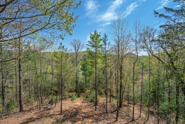 124 Nichols Branch Ln, Clayton, GA 30525 - view of wooded area