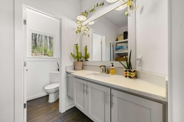 124 Nichols Branch Ln, Clayton, GA 30525 - bathroom featuring vanity, wood finished floors, and toilet