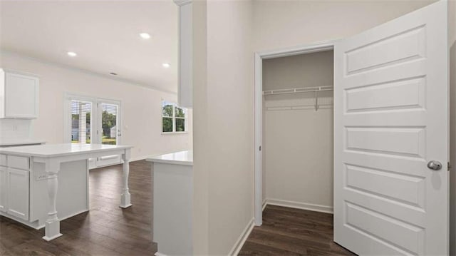 1139 Blue Juniper Cir, Loganville, GA 30052 - view of closet