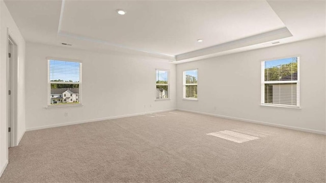 1139 Blue Juniper Cir, Loganville, GA 30052 - spare room featuring baseboards, a raised ceiling, light colored carpet, and a healthy amount of sunlight