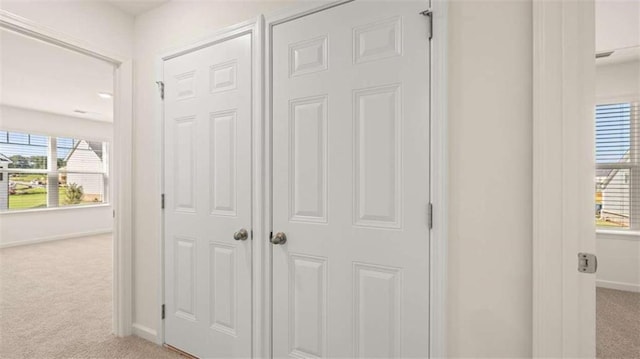 1139 Blue Juniper Cir, Loganville, GA 30052 - details featuring baseboards and carpet
