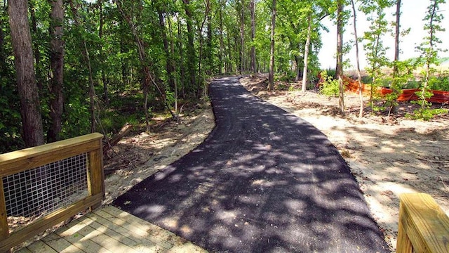 1139 Blue Juniper Cir, Loganville, GA 30052 - view of street