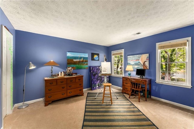 1950 Wenlok Trl NE, Marietta, GA 30066 - office with carpet flooring, plenty of natural light, and a textured ceiling