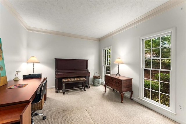 1950 Wenlok Trl NE, Marietta, GA 30066 - carpeted office with ornamental molding and a textured ceiling