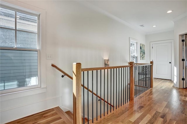 hallway with plenty of natural light and hardwood / wood-style floors