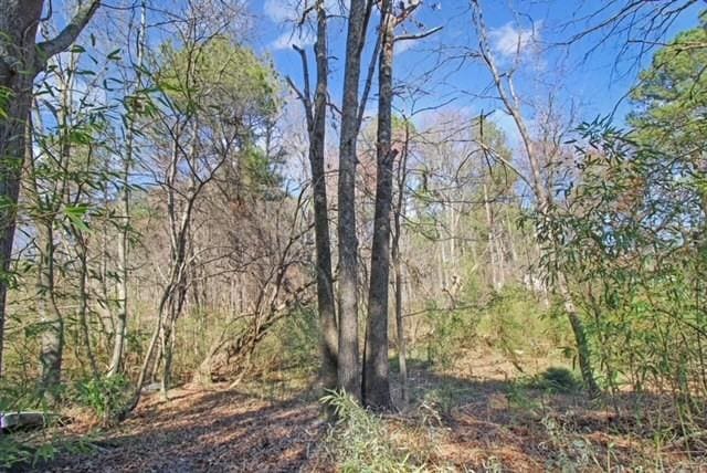 view of landscape featuring a forest view