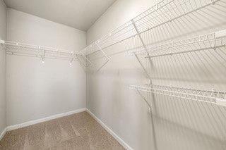 spacious closet with carpet floors