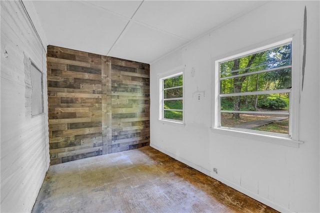 unfurnished room featuring wooden walls and a wealth of natural light