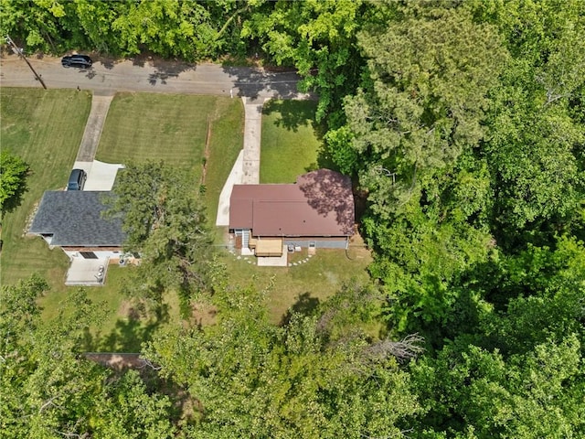 bird's eye view