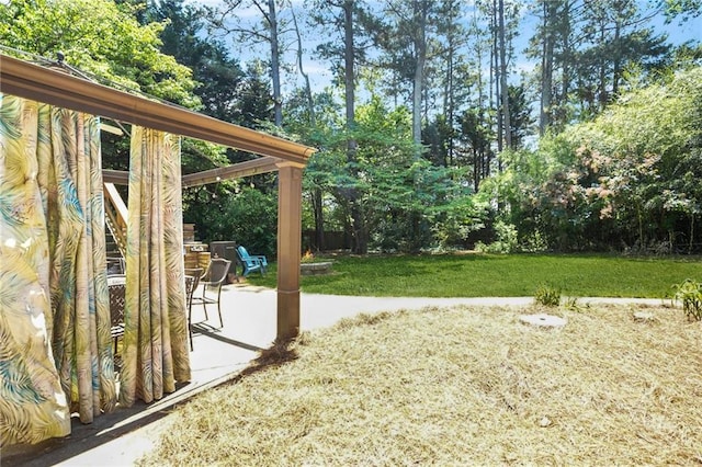 150 Victoria Sta, Woodstock, GA 30189 - view of green lawn featuring a patio and view of scattered trees