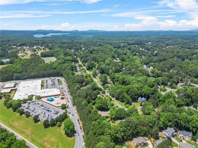 150 Victoria Sta, Woodstock, GA 30189 - drone / aerial view of a heavily wooded area