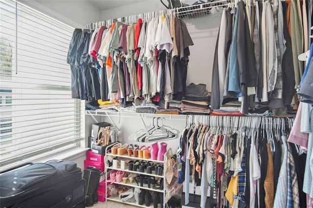 view of spacious closet