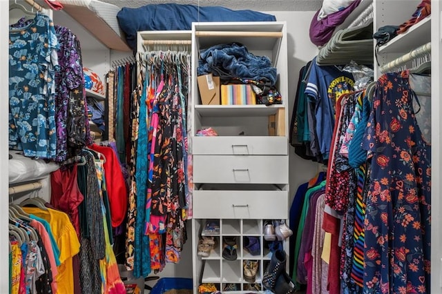 1690 Cedar Grove Dr, Marietta, GA 30066 - view of spacious closet