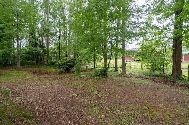 1690 Cedar Grove Dr, Marietta, GA 30066 - view of yard