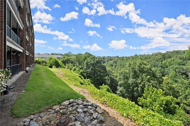 3330 Overland Dr, Roswell, GA 30075 - view of grassy yard featuring a forest view
