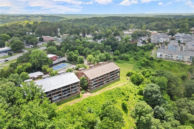 3330 Overland Dr, Roswell, GA 30075 - aerial view of a forest
